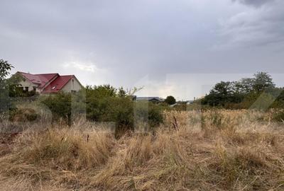 Teren intravilan 902 mp, front 19 mp, zona Metro Teren intravilan 902 mp, front 19 mp, zona Metro - 4