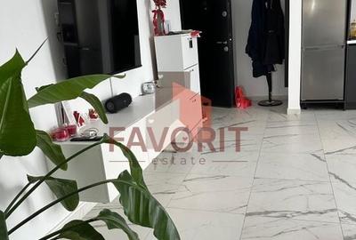 Braytim. Mobilat si utilat. Strada asfaltata - 9