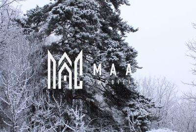 Teren Construcții intravilan de 20000 mp, în Dângești - 30