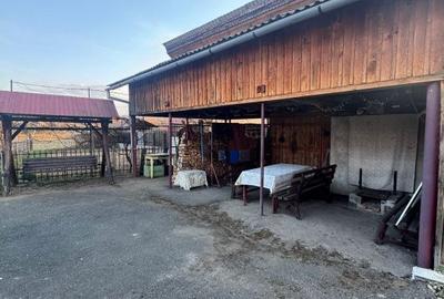 Casă cu 3 camere cu Teren 4000 Mp în Central - 17