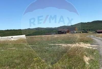 Teren de 3322 mp, în Paltin - 7