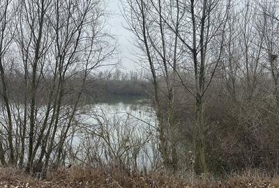 Spațiu comercial, în Batăr - 5