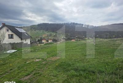 Spațiu comercial, în Simeria - 4