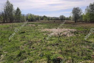 Teren Construcții intravilan de 2700 mp, în Central