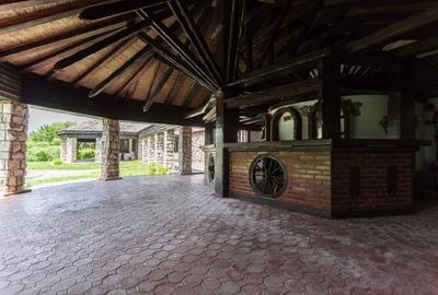 Casa individuală de vânzare Snagov - 8