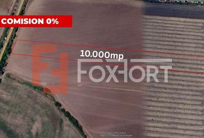 COMISION 0% Teren extravilan agricol 1 ha, Beregsau Mare - Pozitionare excelenta - 2
