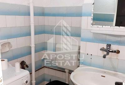 Apartament 3 camere ,Centrala Proprie,Pet Friendly ,Curte ,Bucovina - 3