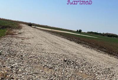 Teren de 3373 mp, în Livada de Bihor - 6