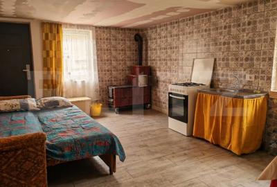 Casă cu 4 camere cu Teren 12186 Mp în Boiu - 12