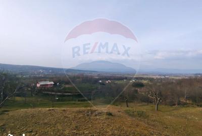 Teren de 3206 mp, în Remetea Chioarului - 3