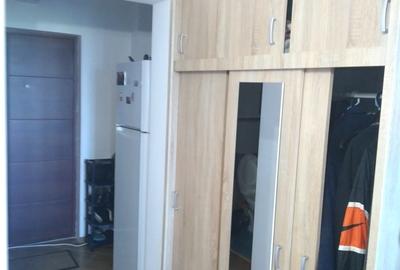 Camil Ressu, Park Lake, Piata Ramnicu Sarat - 2