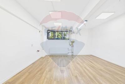 Apartament 2 camere | Demisol inalt | Damaroaia - 4