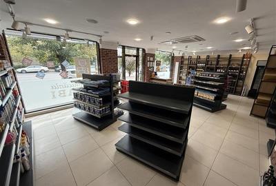 Stefan cel Mare - spatiu comercial stradal 120mp - 11