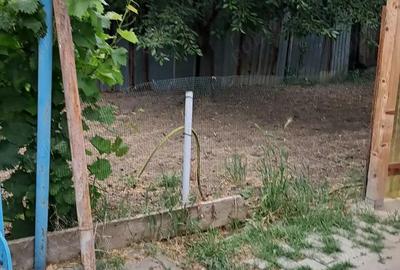 Vand sau schimb casa cerneti - 7