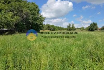 Teren intravilan de vanzare Unghi- jud. Neamt - 3