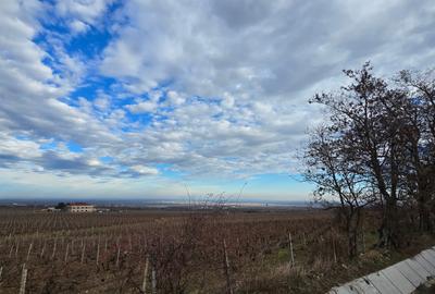 Casa de vanzare  Beciu - - 41