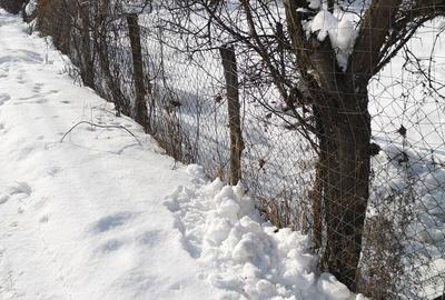 Casă cu 2 camere în Strâmtura - 4