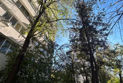 Apartament cu 3 camere decomandat, mobilat în Titan - 13