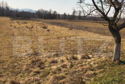 Teren de 4000 mp, în Central - 5