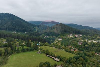 Teren Construcții intravilan de 3175 mp, în Cernatu - 2