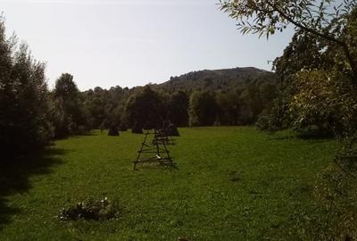 Teren de 2142 mp, în Valea Doftanei