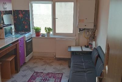 Apartament cu 2 camere decomandat în Abator - 2