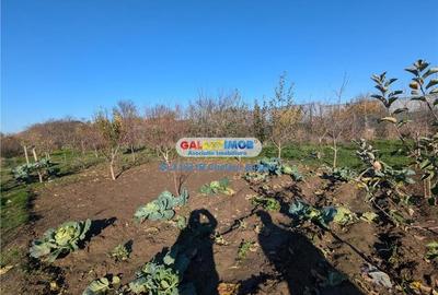 Adunatii Copaceni vila P+1 ,5 camere,suprafata 165 mp, teren 1300 mp - 20