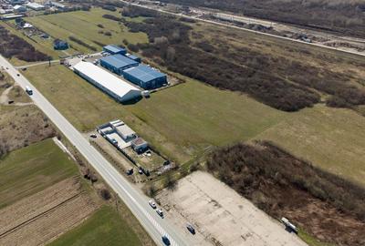 Teren agricol extravilan de 7194 mp, în Păltiniș - 3