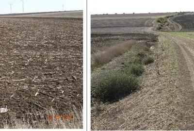 Teren extravilna Cota parte 1/16, CObadin, ID: R2782865 - 3