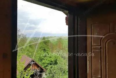 Teren de 1740 mp cu casa intabulata in PH-Provita de Sus - 3