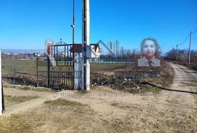 Teren Construcții intravilan de 10000 mp, în Nord