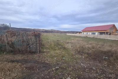 Teren de 2200 mp, în Zorești - 4