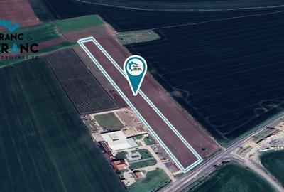 Teren extravilan de 28.000 m2,in Vladimirescu(ID:30227) - 3