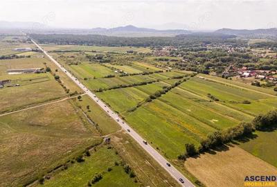 Teren extravilan Lunca Calnicului langa E574 - 13