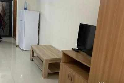 Garsonieră nedecomandată în Craiovei - 2