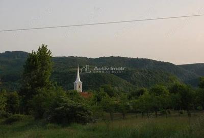 Casa de vanzare in Uileacul de Beius gospodarie traditionala, zona pitoreasca - 11