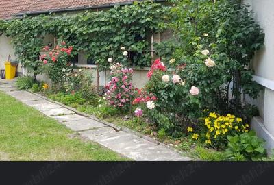 Casă cu 4 camere în Central - 3