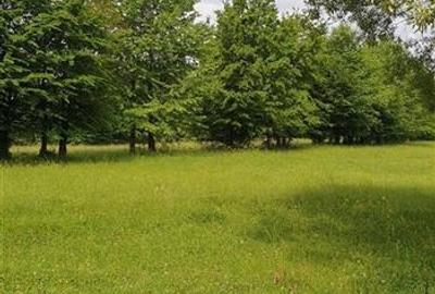 Teren Construcții extravilan de 5000 mp, în Cerdac - 4