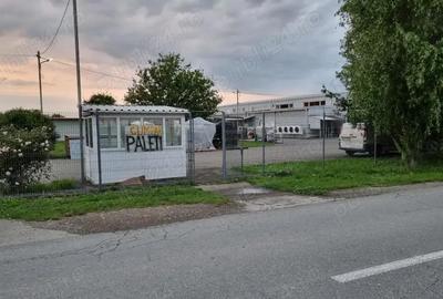 Teren de 4575 mp, în Filipeștii de Târg - 9