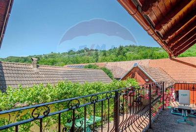 Casa DE VIS Feldioara/ Ucea/ Fagaras- DE VANZARE! - 13