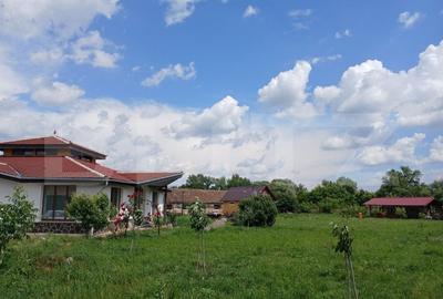 Casa superba in Tinca, 225 mp, 20 ari luciu de apa, teren fotbal, spatii verzi - 8