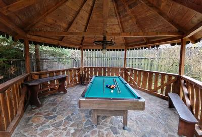 Vand Cabana Orasti, com Posaga - 9