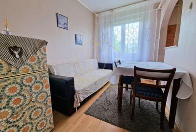 Apartament cu 2 camere semidecomandat, mobilat în Dacia - 9
