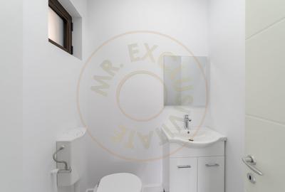 Spatiu comercial generos - 160 mp - pozitie premium pe Craiovei! - 16