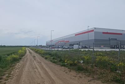 Anunturi vanzari terenuri in Lazu - 3