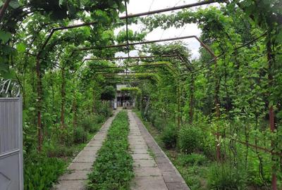 Casă cu 4 camere în Bălcești - 4