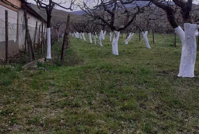 Spațiu comercial, în Orlat - 7