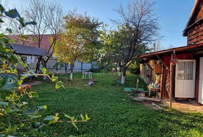 Casă în Coman - 3