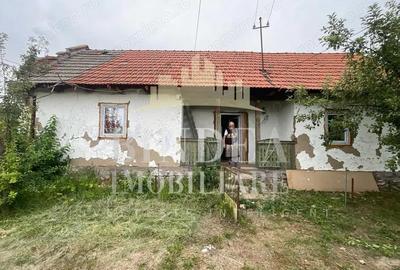 Casa Babsa, comuna Balint 2084mp teren - 7