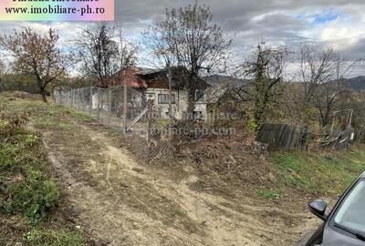 Teren de vanzare - Breaza - 6